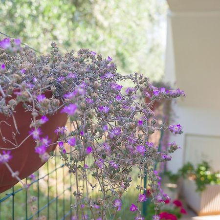 Arbi Case Vacanze Mattinata Εξωτερικό φωτογραφία